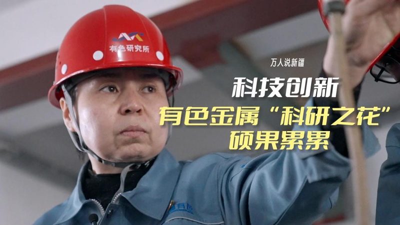 知识图谱标准化建设：揭秘其背后的价值与价格